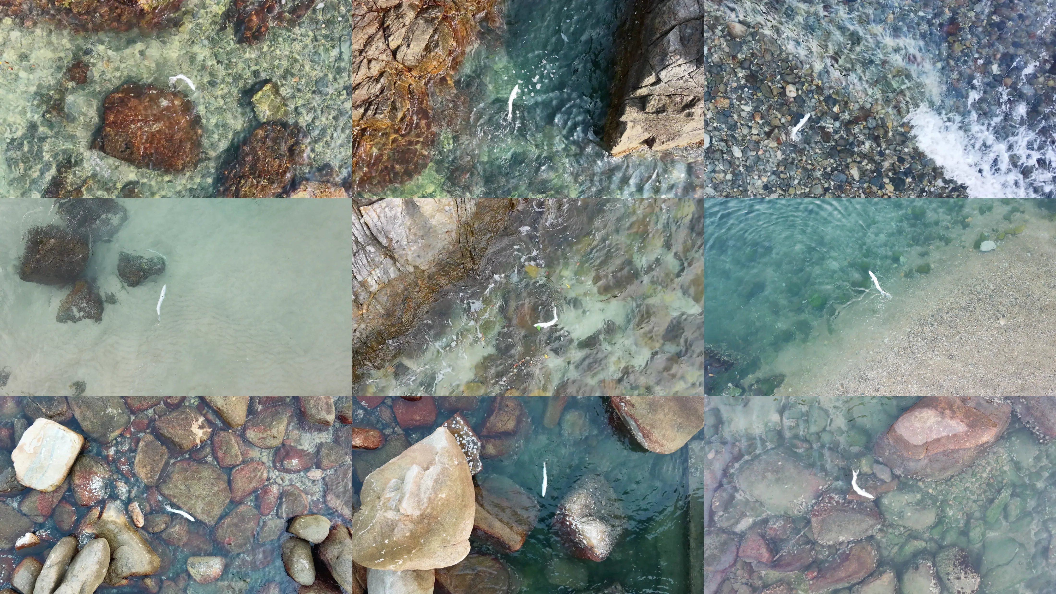 Brizo Field All-in-One